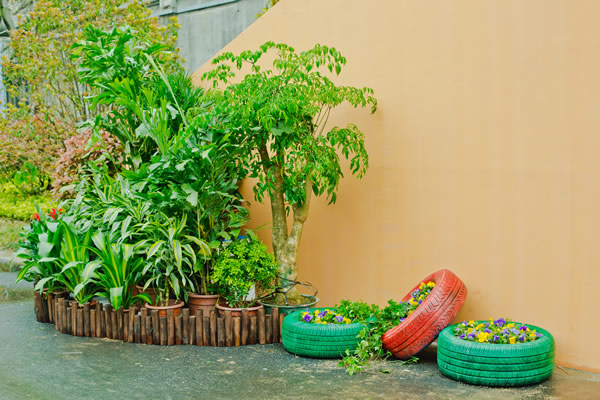 走廊植物租賃綠化